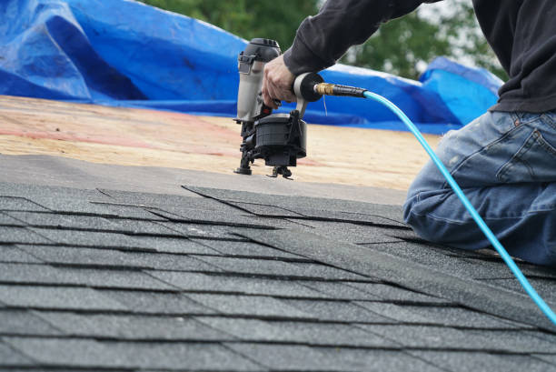 Best Roof Gutter Cleaning  in South Taft, CA